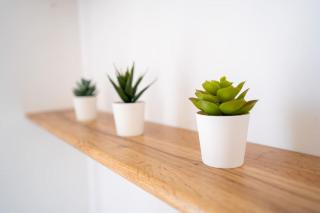 La Maison Vermeil - Grande maison moderne à Lavaur - Lavaur - 6