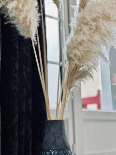 Appartement de Charme avec Balcon - Villa les IRIS - Dunkerque - 5