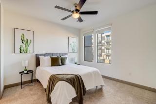 Modern CozySuites on the Town Lake waterfront 17 - Tempe - 3