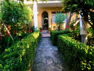 La Finca Mercedes - La Iruela - 0