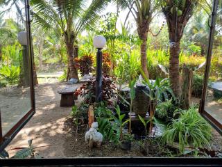 Wind in the Wild Khao Yai - 1