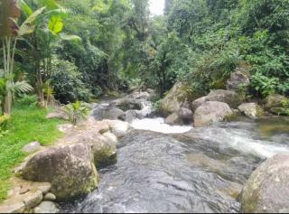 encanto dos ipês - 2