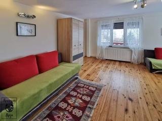 Koniecznie Róża - 7