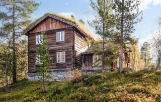 Nice Home In Bjorli With Wifi - Bjorli - 9