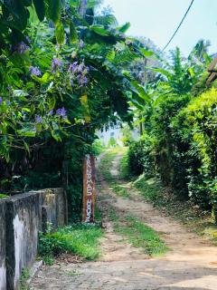 The Grandma's house - Weligama - 4