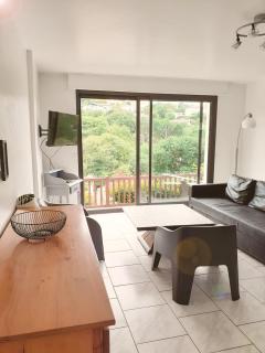 Grands appartement à Ciboure - Ciboure - 9