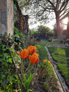 Gästehaus Parkfrieder - 3