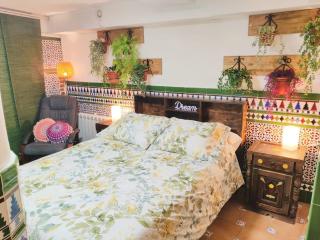 Lola´s winery house, andalusian patio - Granada - 8
