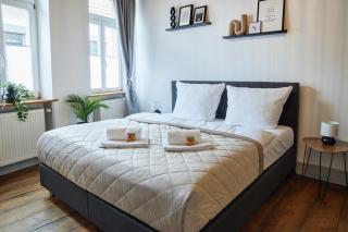 UPPER ROOM Altstadt-Apartment im Herzen der Pfalz - Neustadt an der Weinstraße - 9