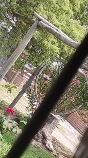 Cabaña Olive Garden - San Rafael - 2