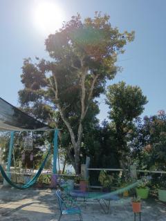 Casa Zoila Hospedaje frente al lago Lakefront lodging - 1