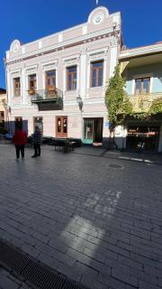 2 Bedroom 2 Bathroom Historic Apartment Newly Renovated in Tbilisi Center - 7