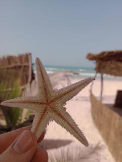 Beach & Sunset villa - Mboro - 0