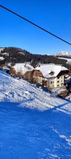 Sonnleitn AlpinWell Appartment (Ski in&out + Wellness) - 7