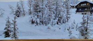 Sonnleitn AlpinWell Appartment (Ski in&out + Wellness) - 6