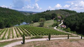 Agriturismo San Bernardino Del Lago - Rapolano Terme - 3
