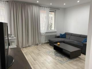Cynthia Apartment - Old Town Igielnicka - Gdańsk - 5