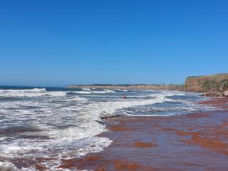 Alojamiento 223 - Mar del Plata - 9