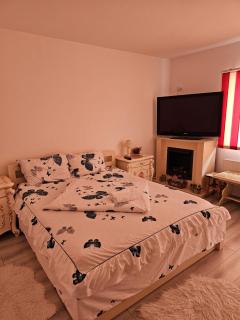 Pensiunea Baron Aliando - 2