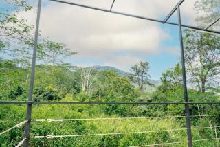 Hanthana Nature Cottage - - 1