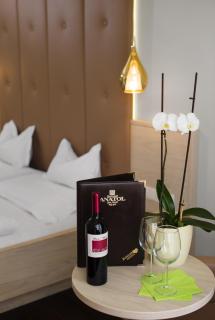 Hotel Anatol - 3