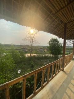 Camellia bagh resort. Under Pabhojan tea Tourism - - 7