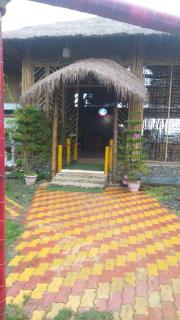 Camellia bagh resort. Under Pabhojan tea Tourism - - 6