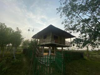 Camellia bagh resort. Under Pabhojan tea Tourism - - 2
