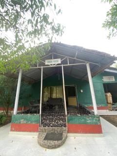 Camellia bagh resort. Under Pabhojan tea Tourism - - 1