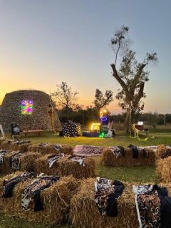 Agriturismo Tenuta Calitre - 8