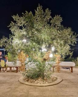 Agriturismo Tenuta Calitre - 3