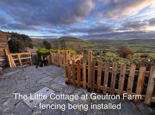 Little Cottage - Dogs welcome - Near Tywyn - 7