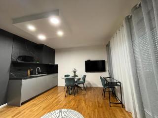 APARTMAN 4U Velika Gorica near Zagreb Airport - Velika Gorica - 6