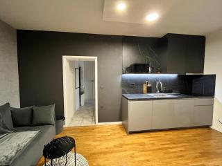 APARTMAN 4U Velika Gorica near Zagreb Airport - 8