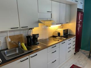 Jokioinen-Forssa apartment 48m2 - Jokioinen - 1