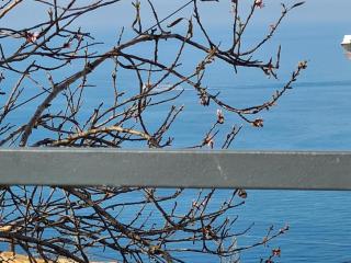 Ionian Balcony - 1