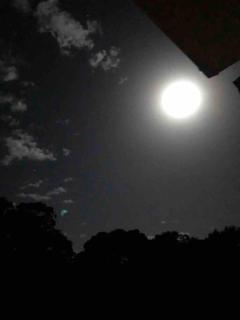 Cocoon House - Newbury - 5