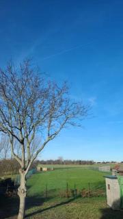 charmante maison 2 chambres, entièrement rénovée -  - 6