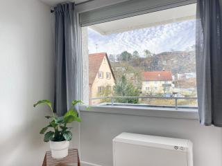Wohnliches Design Apartment in schöner Lage nahe Ulm & Science Park - Blaustein - 5