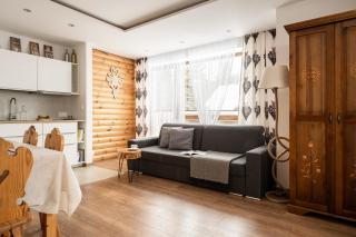 Villa Odskocznia Apartamenty - Sauna, Centrum - Skocznia, Zakopane - Zakopane - 1