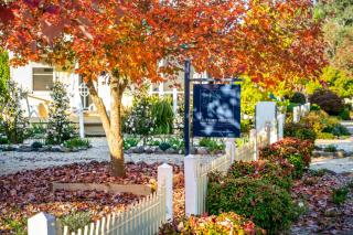 Autumn Beauty - Country Cottage 7 - Bright - 9