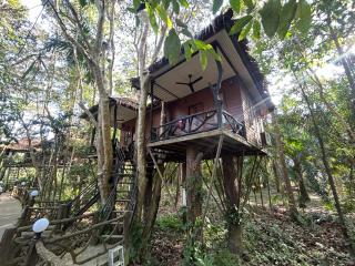 Khao Sok Paradise Resort - Khao Sok - 4