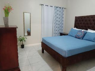 Lovely 2 BedRoom c̅ Netflix across National Stadium Kingston - Kingston - 9