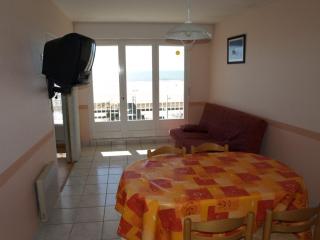 Appartement confortable 6 pers, face mer, animaux acceptés - FR-1-323-340 - Saint-Jean-de-Monts - 2