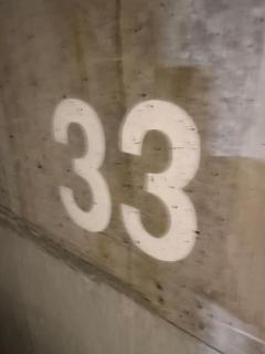 F2 St Denis Jardin d'état - Saint-Denis - 2