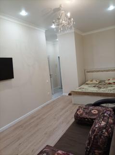 1 комнатная квартира в ЖК АЛАУ - 0