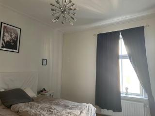Charming huge apartment with south sunny balcony - 6