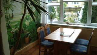 Ferienwohnung Regina - Zinnowitz - 8