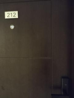 CEBU AVIDA Riala T3 212 (It park) - 6