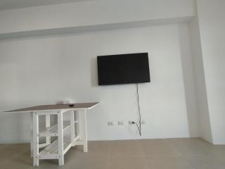 CEBU AVIDA Riala T3 212 (It park) - 2